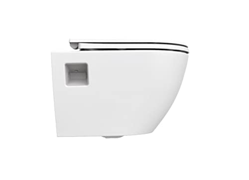 Terra Hänge WC mit Hygienedusche, weiß