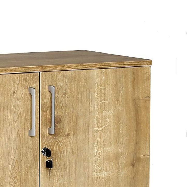 Aktenschrank, 80 cm x 40 cm x 80 cm, Saphir Eiche Dekor