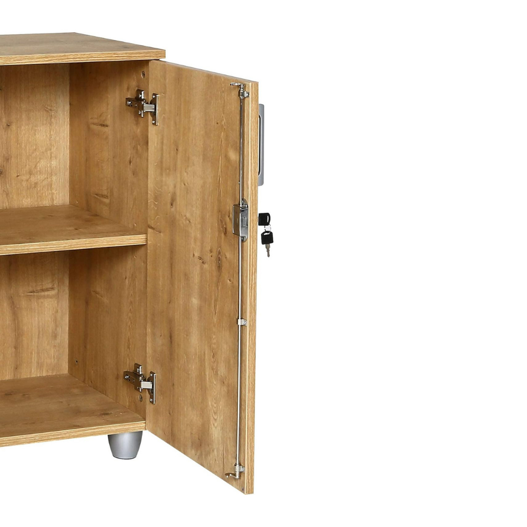 Aktenschrank, 80 cm x 40 cm x 80 cm, Saphir Eiche Dekor