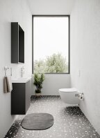 Terra Hänge WC ohne Hygienedusche, weiß