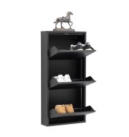 Schuhkipper Metall 50 x15 x103,5 cm, 3 Klappen, schwarz RAL 9005