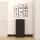 Schuhkipper Metall 50 x15 x103,5 cm, 3 Klappen, schwarz RAL 9005
