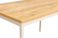 Furni24 Schreibtisch-Stahlgestell 120x60x75cm, Eiche, TÜV/GS-Einfache Montage, Arbeitstisch, Bürotisch, Küchentisch, Esstisch, Druckertisch Büro-Möbel Arbeitszimmer Computertisch Gaming-Tisch Mehrzwecktisch